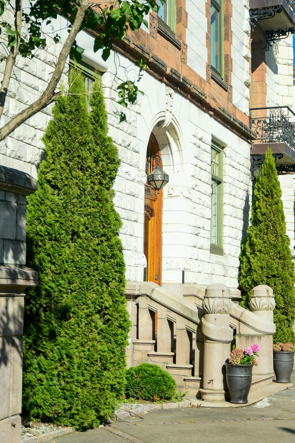 soft house washing wellington